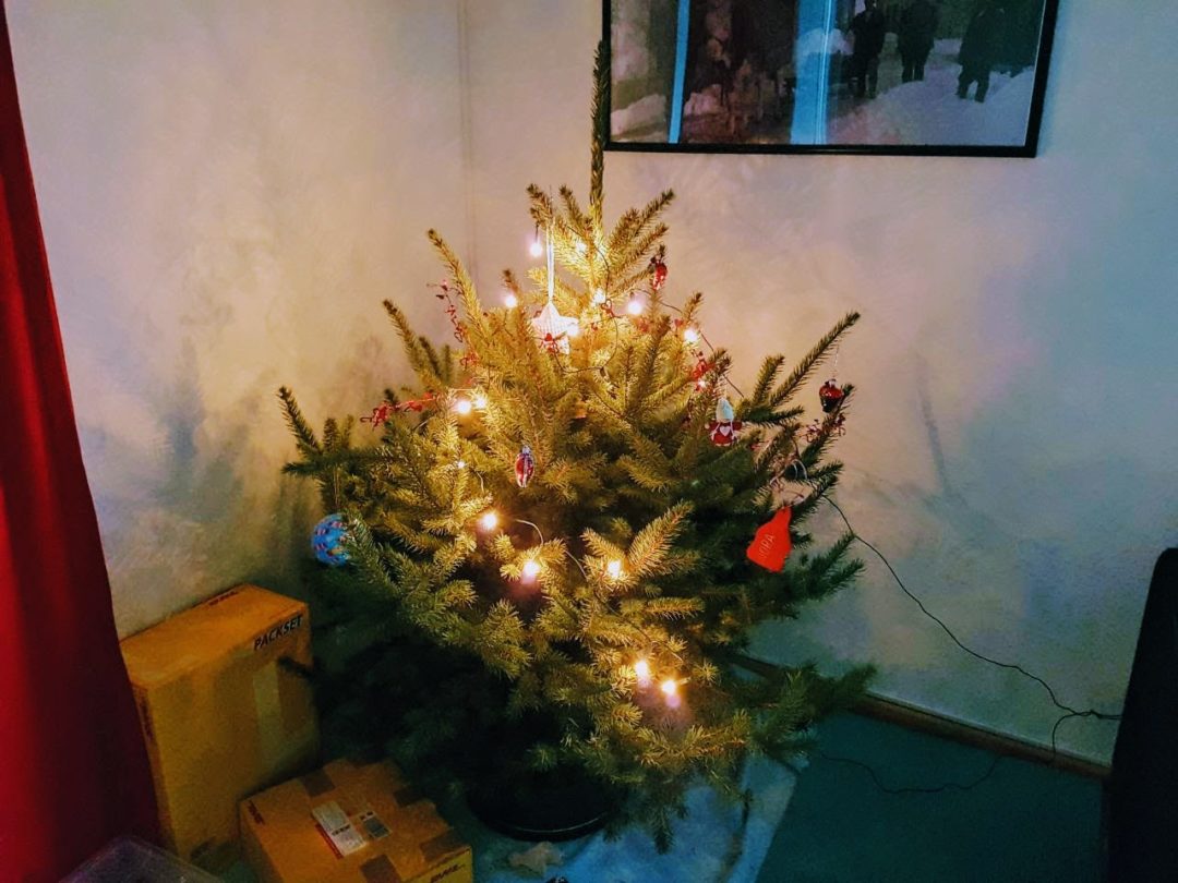 Ist der Weihnachtsbaum ökologisch? Nächste Frage bitte!